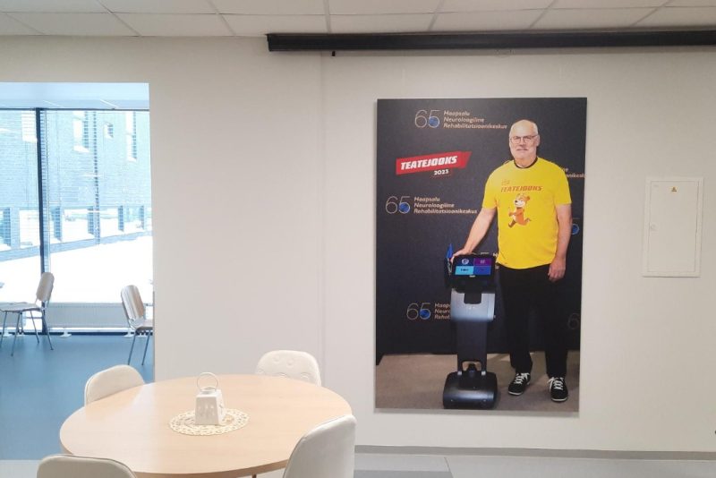 Teatejooks Suhtlusrobot Temi